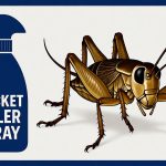 Best Cricket Killer Spray