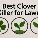 best clover killer for lawns