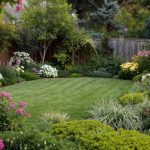 How to Get Rid of Chiggers in Your Yard