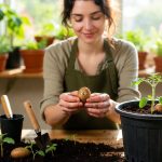 How to Grow Potatoes in a Container