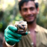 how to get rid of pill bugs