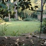 how to get rid of ticks in yard