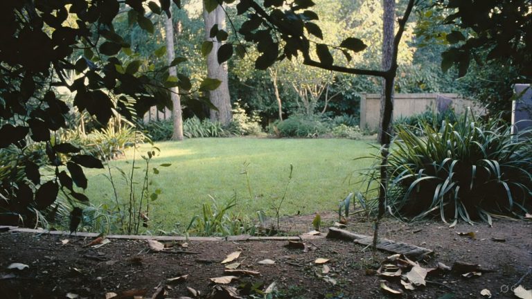 how to get rid of ticks in yard