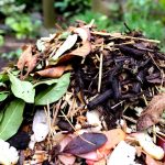how to make a compost pile