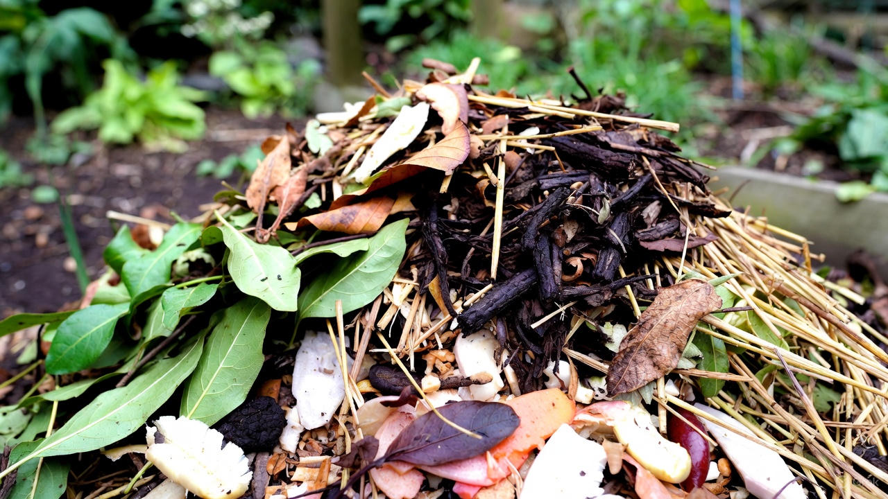 how to make a compost pile