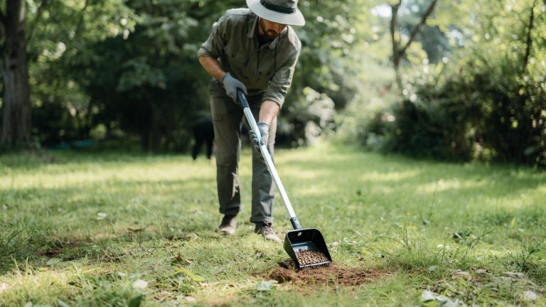 Best Pooper Scooper for Grass