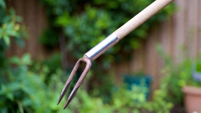 Best Garden Tool for Weeding