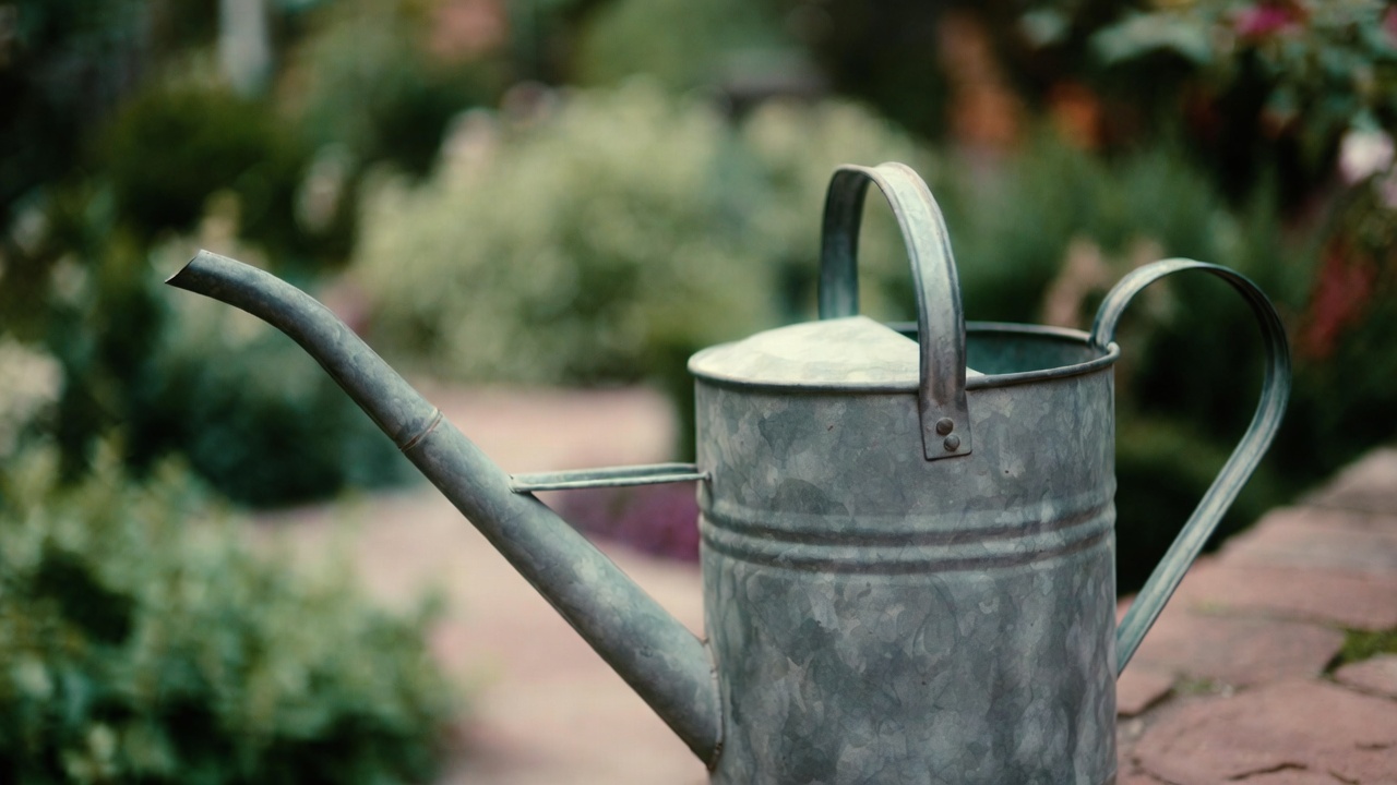 best garden watering can