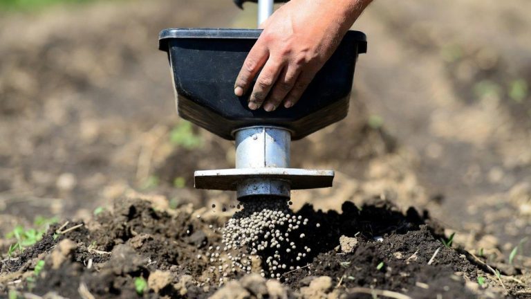 best hand fertilizer spreader