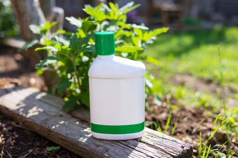 Best Brush and Weed Killer