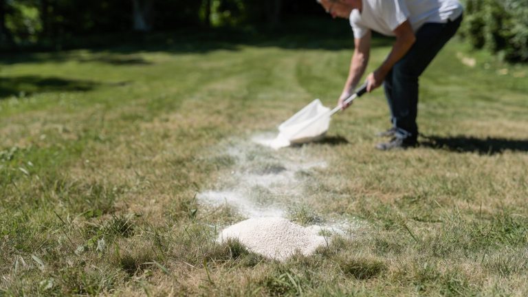 How to Apply Lime to Your Lawn