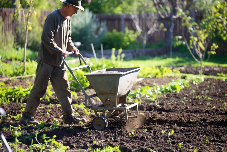 best broadcast spreader for fertilizer