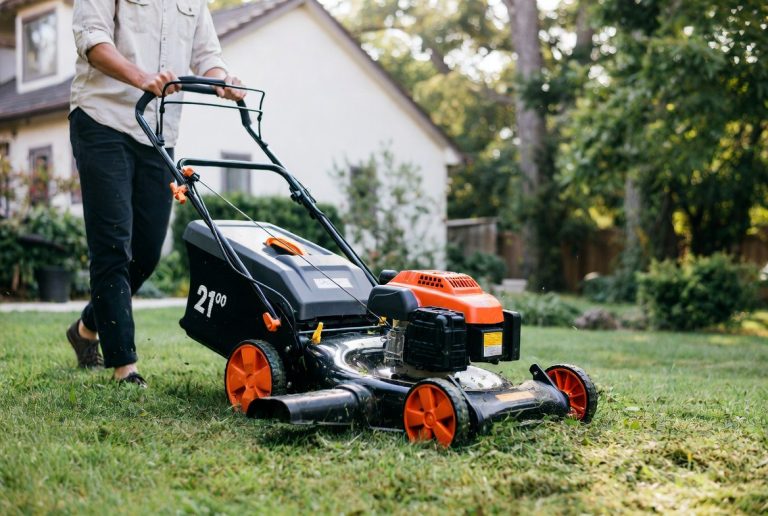 Best 21 Inch Lawn Mower