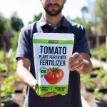 best fertilizer for tomato plants