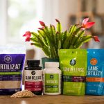 best fertilizers for christmas cactus