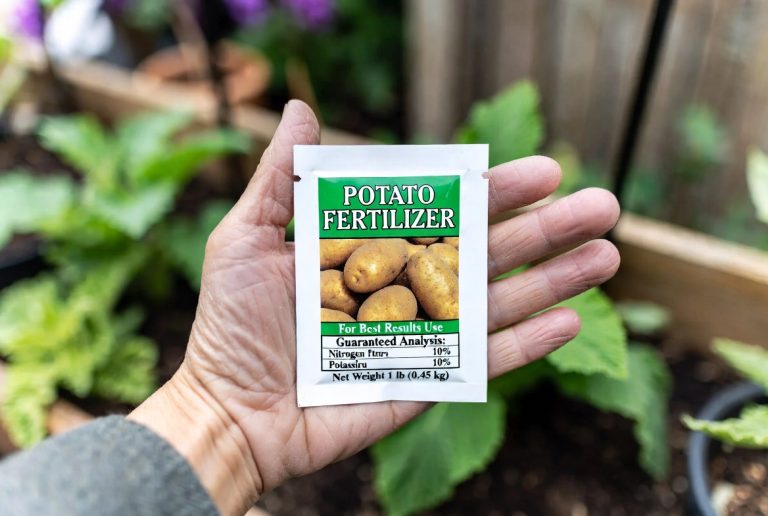best fertilizer for potatoes