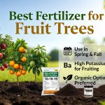 Best Fertilizer for Fruit Trees