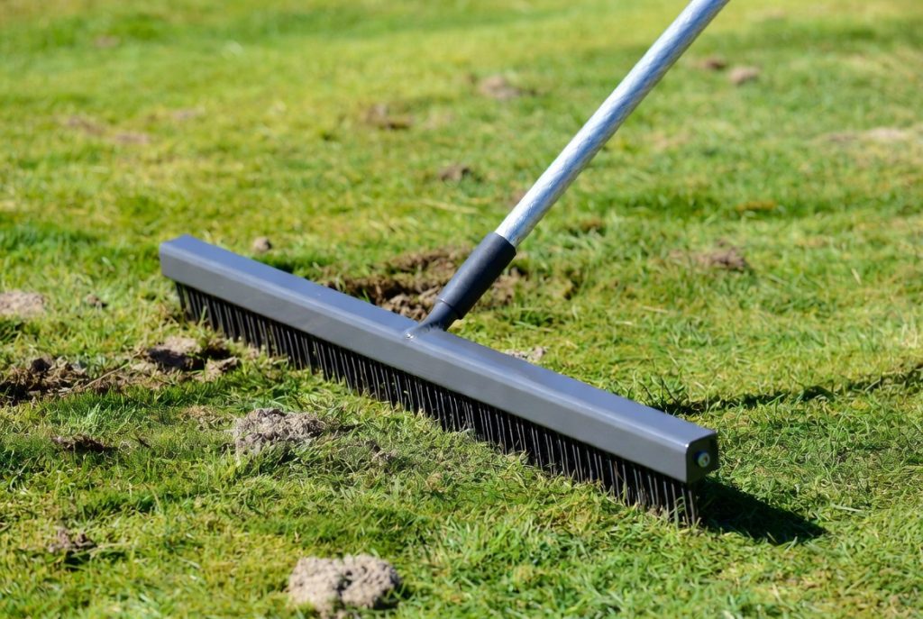 5 Best Grub Killer for Lawn In 2026 | Garden Cure