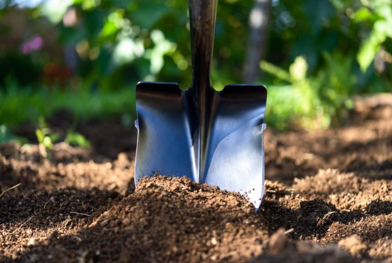 Best Shovel for Digging