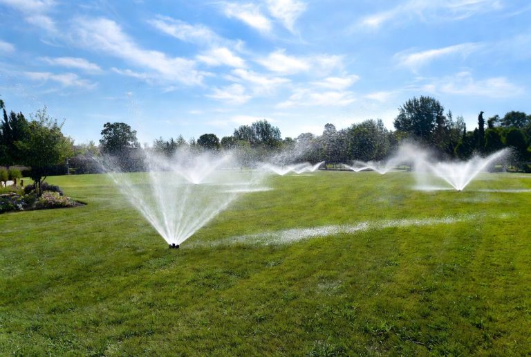 Best Sprinkler for a Large Yard