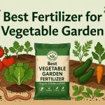 best fertilizer for vegetable garden