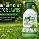 Best Weed Killer That Won't Kill Grass