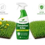 Best Herbicide for Dandelions