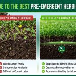 Best Pre Emergent Herbicide