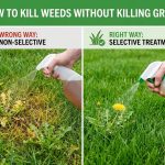 How to Kill Weeds Without Killing Grass