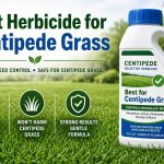Best Herbicide for Centipede Grass